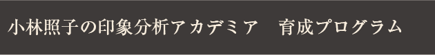 小林照子の印象分析アカデミア　育成プログラム